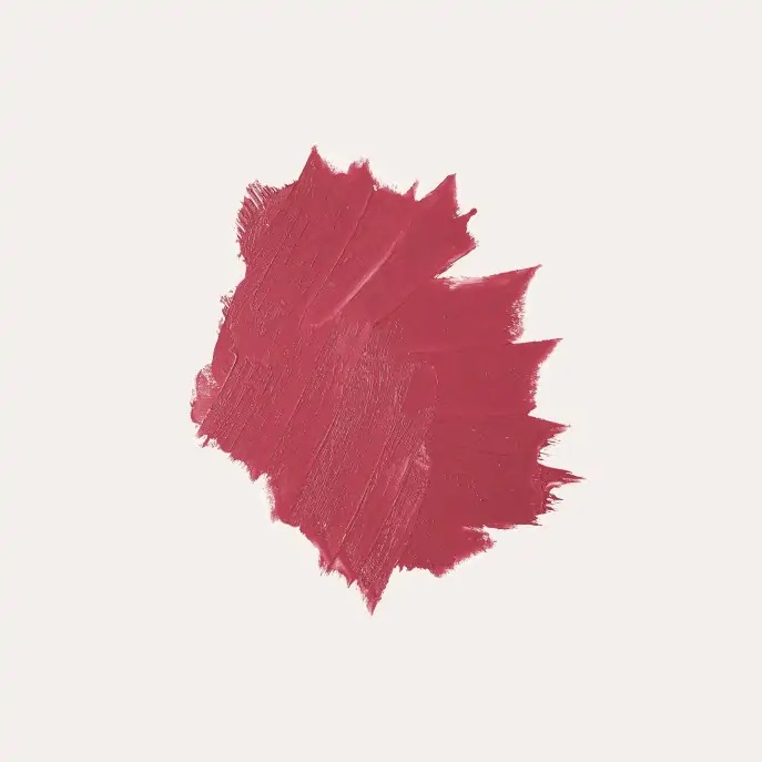 ABSOLUTION LIPSTICK LE MAT 11 BOIS DE ROSE