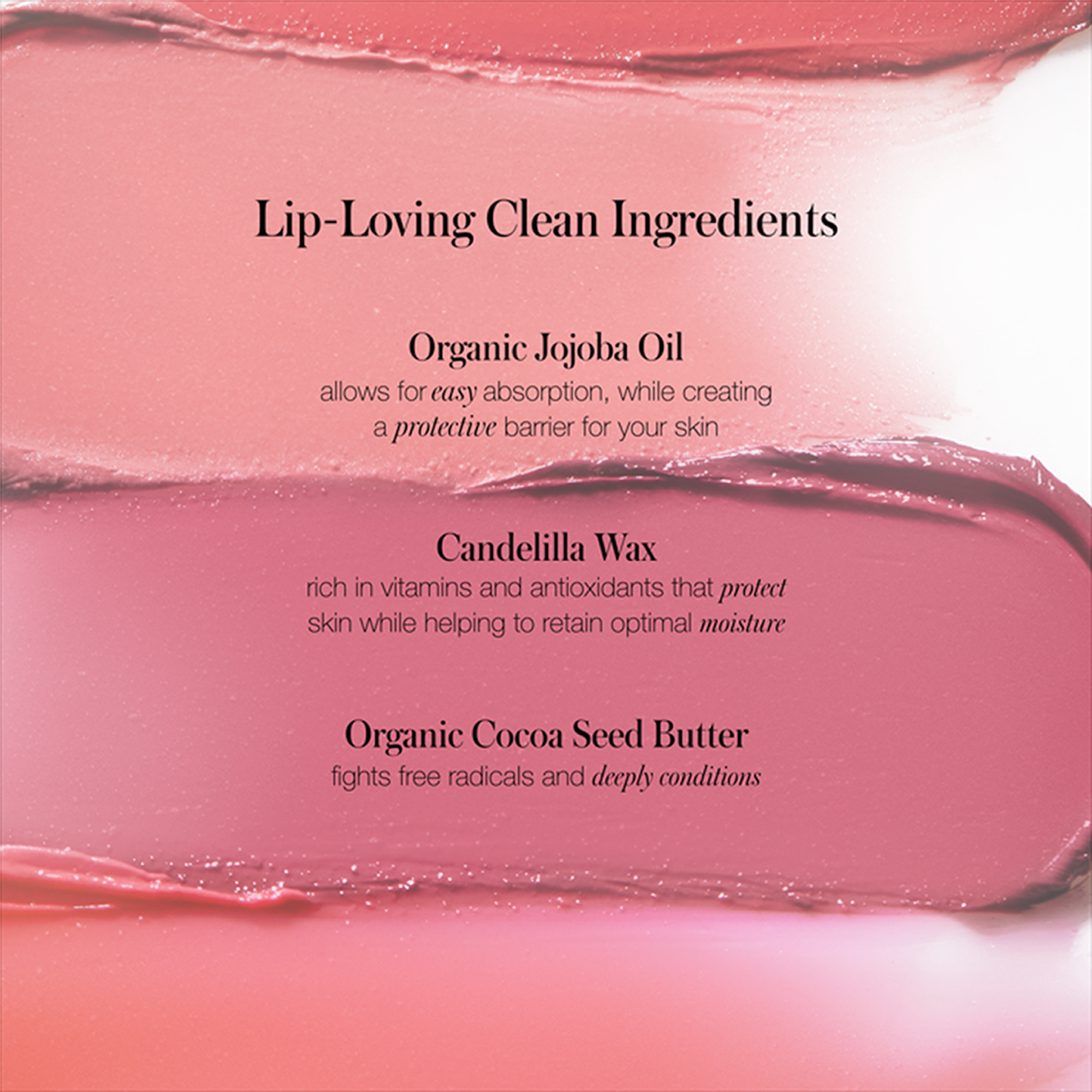 RMS BEAUTY | MINI LIP LOVE KIT