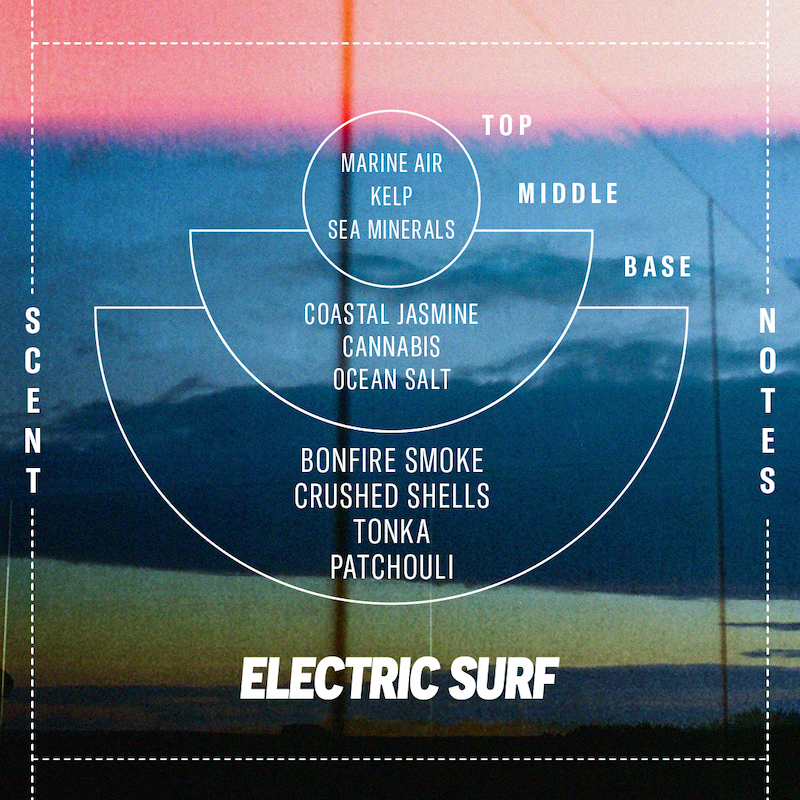 P.F. CANDLE & CO. SOFT FOCUS LIMITED EDITION - ELECTRIC SURF