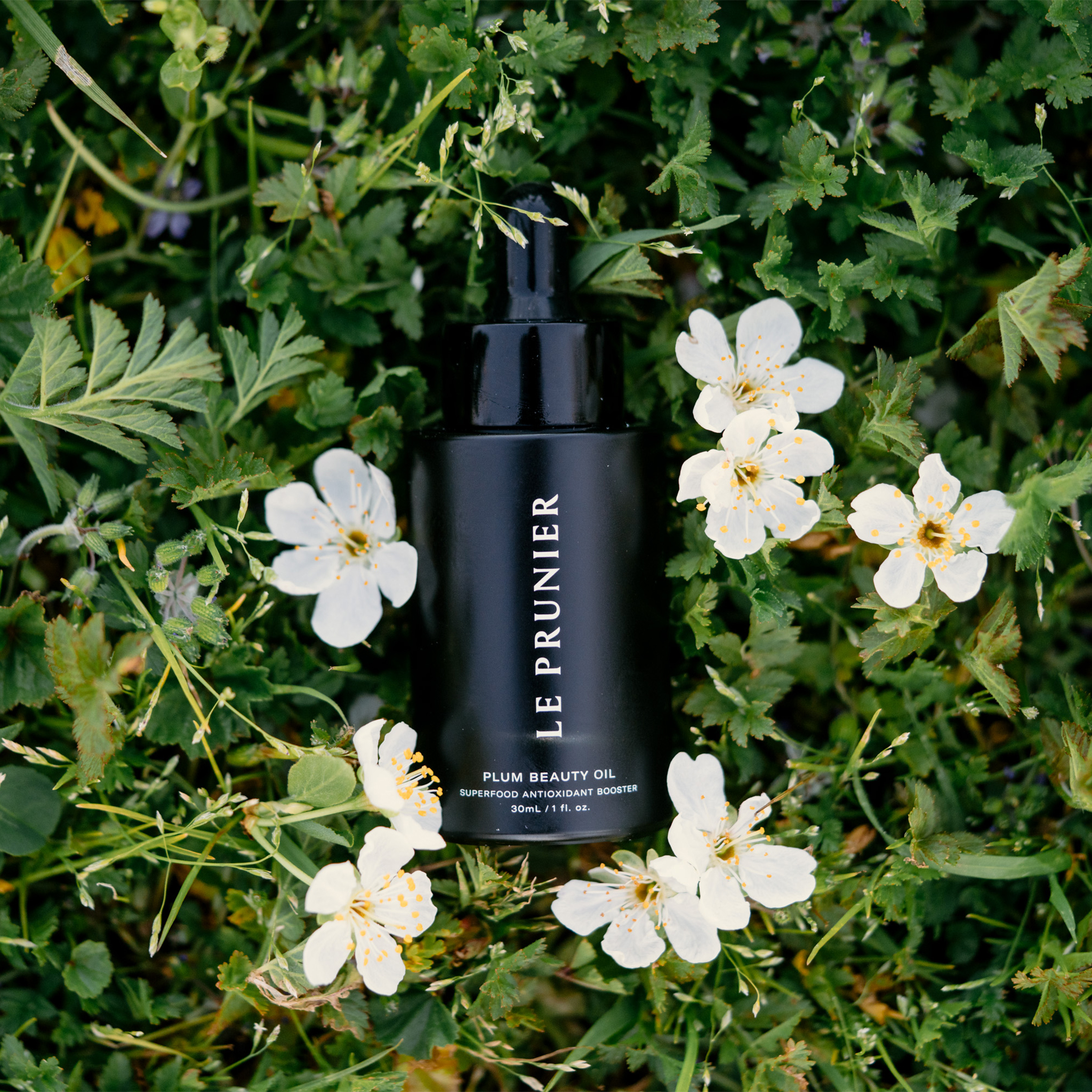 LE PRUNIER PLUM BEAUTY OIL