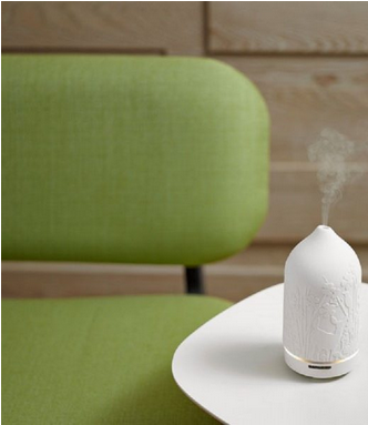 SALE - TOAST LIVING - EVERYDAY SENSE / ESSENTIAL OIL SATURDAY