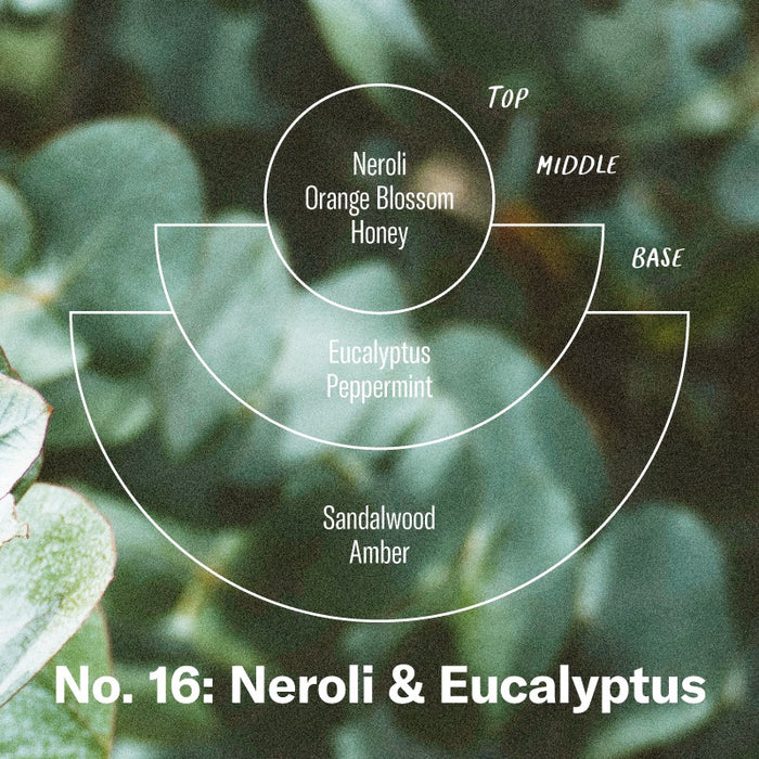 P.F. CANDLE & CO. NO.16 NEROLI & EUCALYPTUS - CONCENTRATED CANDLE