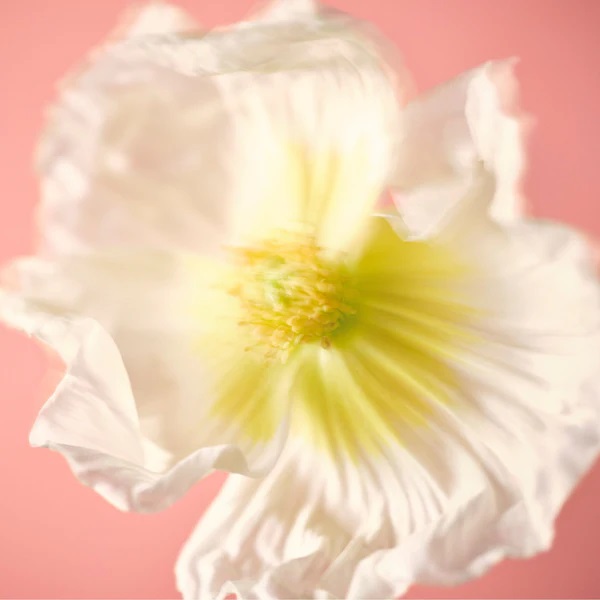 NUORI PARFUM NATUREL SERIES 0 - MIDSOMMER